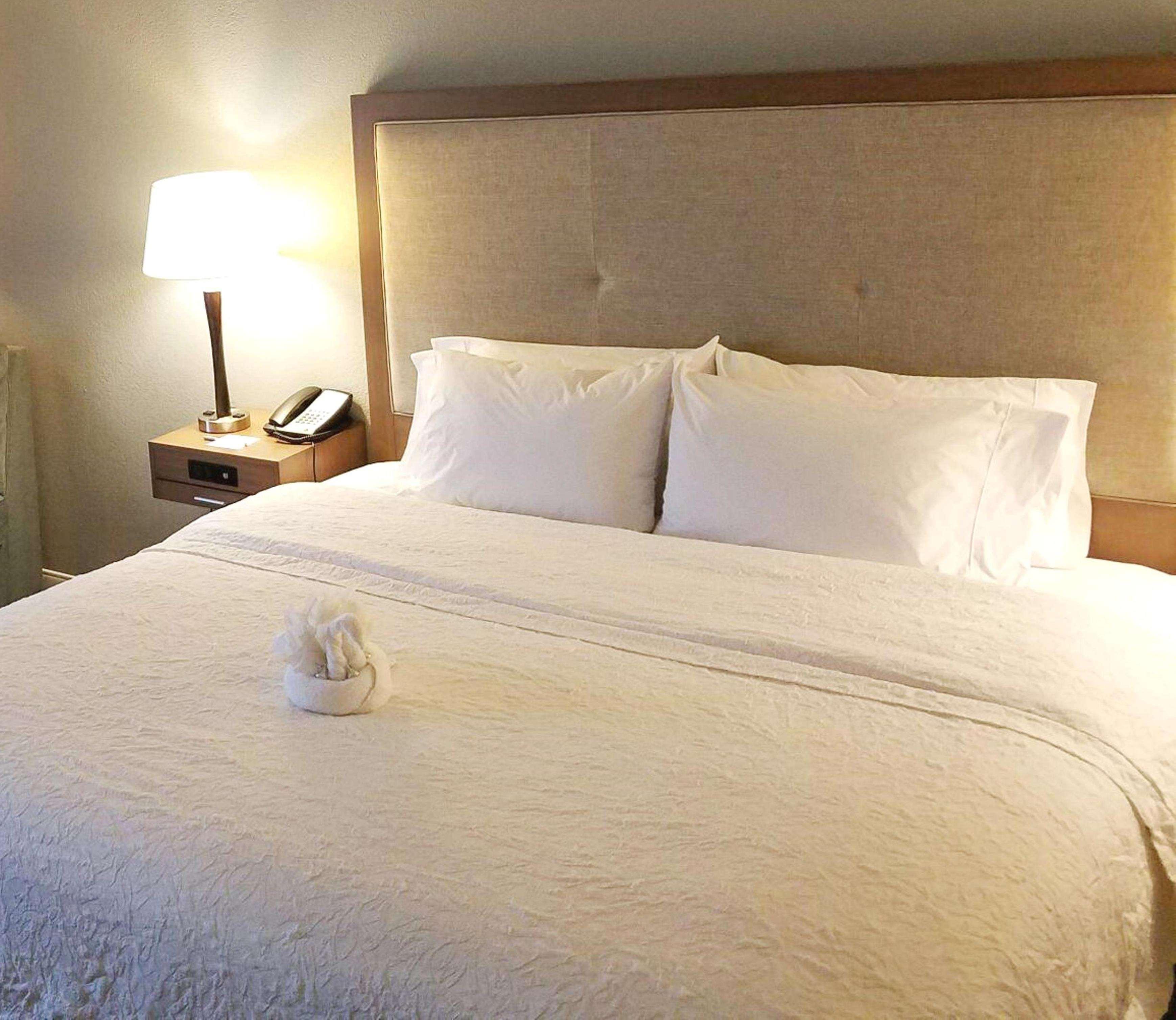 Hampton Inn Philadelphia-Airport Eksteriør billede